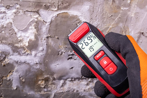 Best Local Mold Removal Service  in Thermal, CA