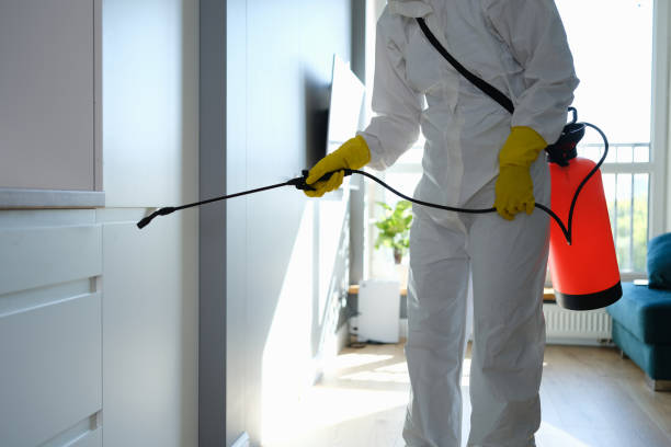 Best Crawl Space Mold Removal  in Thermal, CA
