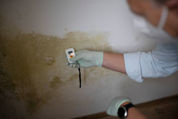 Crawl Space Mold Removal in Thermal, CA