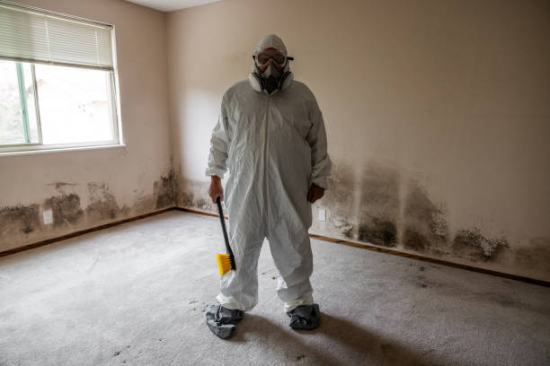 Best Commercial Mold Removal  in Thermal, CA