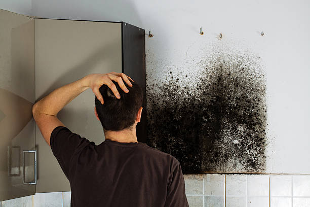 Best Mold Cleaning Services  in Thermal, CA