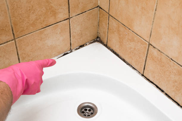 Best Mold Testing  in Thermal, CA